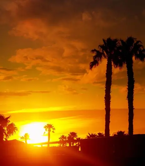 /summerlin Property Management Alt